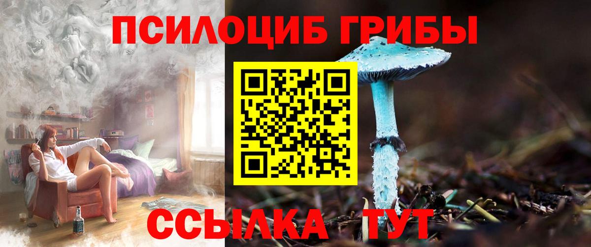 Комсомольск-на-Амуре  Галлюциногенные грибы Psilocybe  Галлюциногенные грибы прущие грибы  Вход с VPN 